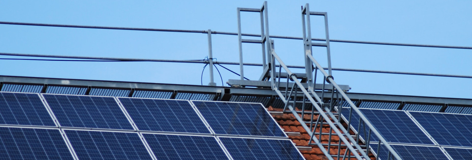 istvan-hernek-tOKF2VSdpJM-unsplash istvan-hernek-tOKF2VSdpJM-unsplash