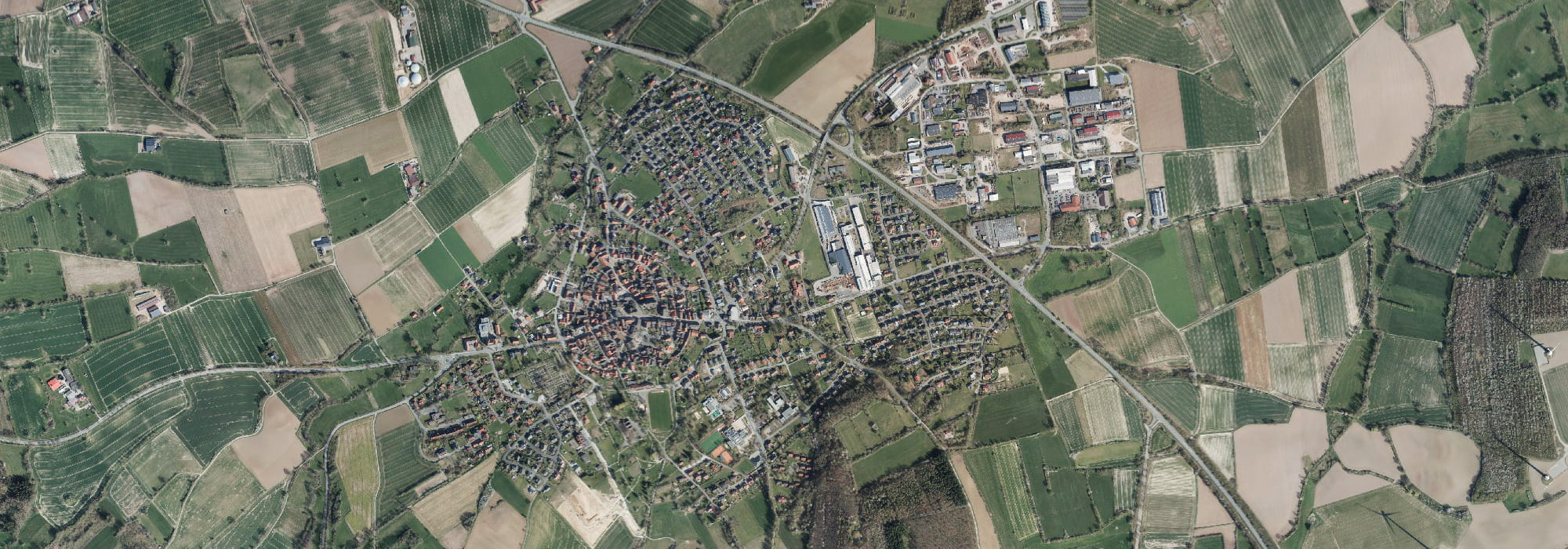nieheim-opti nieheim-opti
