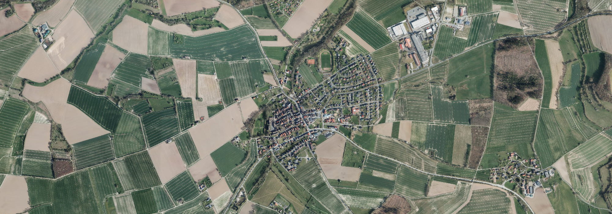 marienmuenster-opti marienmuenster-opti