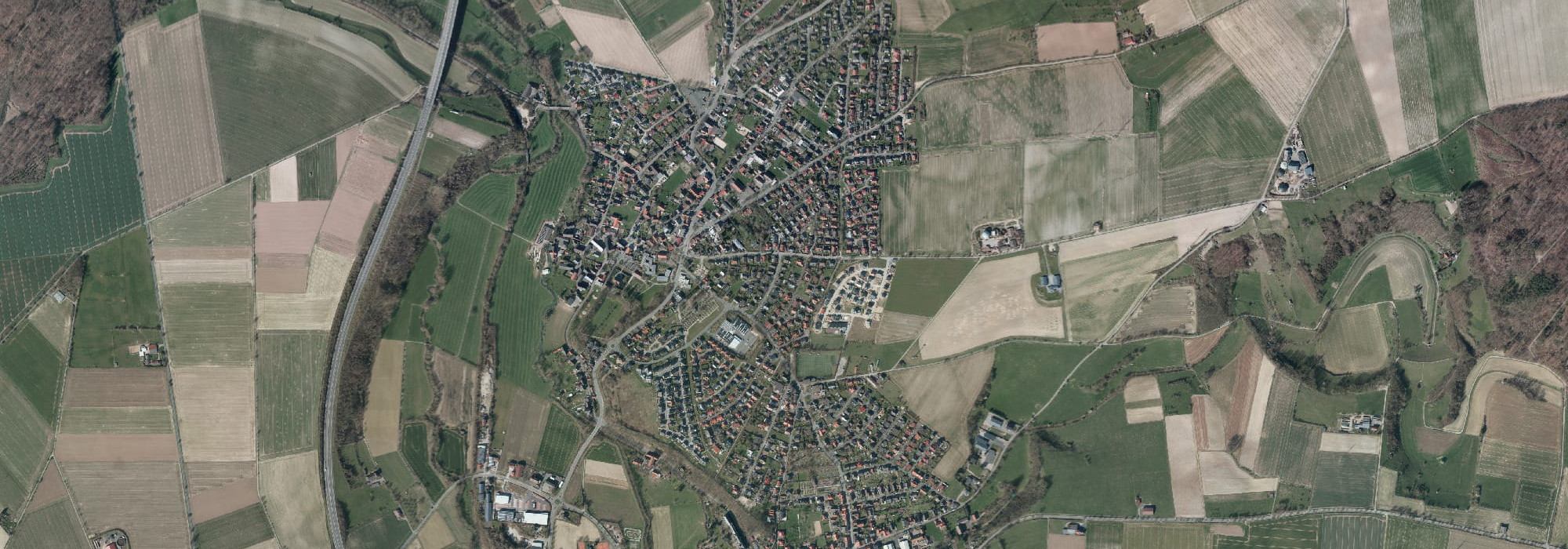 borchen-opti borchen-opti